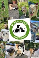 Ostende Beach View apartment - B&B Castro-Urdiales