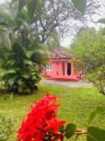 Elephant Hostel - B&B