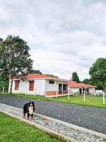 Tumbaga Hostal - B&B