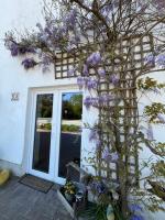 Fewo Nähe Vareler Hafen auch mit Hund - B&B Varel