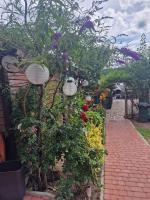 Pokój z tarasem na jezioro, Mikołajki - B&B Mikołajki