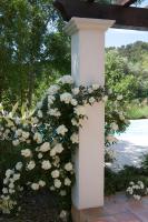 Casa con 3 Camere da Letto