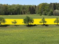 Oberdorf - B&B Constanza