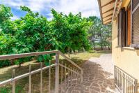 Italian Experience - Sunrise Hill Holiday Home - B&B Urbisaglia
