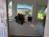 The Secret Garden Retreat - B&B Žabljak