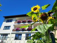 Gästehaus Herma - B&B