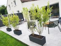 Le Petit Candie - B&B Maisoncelles-en-Brie