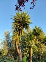 Kanaliblue - B&B Kanáli