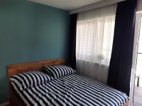 Suite Apartment