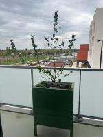 Appartement F3 cozy avec balcon proche de Paris et aéroport CDG - Chambres d'hôtes Villiers-le-Bel