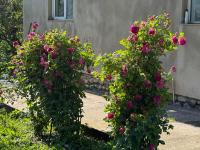 Baqari Inn - Bed and Breakfast