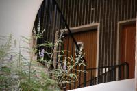 Appartamento vista mare - Bed and Breakfast