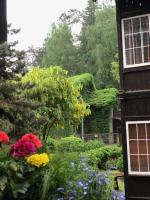 Ievos Kalno apartamentai III - B&B Juodkrantė