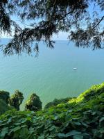 botanical breeze - Ferienwohnung Batumi