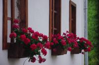 Rezidenca Sv. Peter - B&B Malečnik