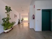 Los Cactus de Veneziola - Ferienwohnung