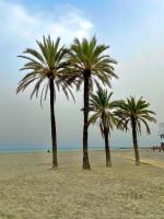 Corazón de Santa Pola - Ferienwohnung Santa Pola