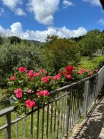 Voce del Casentino - B&B Castel San Niccolò