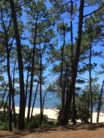 Appartement spacieux Arcachon - B&B Arcachon