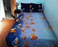 A room in a shared house for surfers2 - B&B