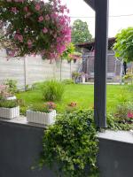 Apartament u Danusi - B&B Złoty Stok