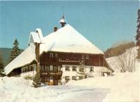 Café - Pension Bernreutehof - B&B