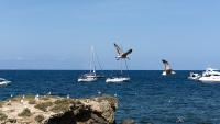 A un paso del mar - B&B