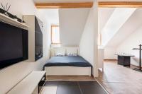 City Center/ Spa/ Scenic viewpoint nearby - B&B Karlovy Vary