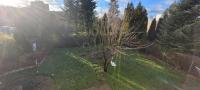 Apartament Formoza - B&B