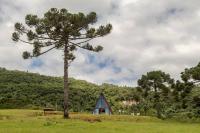 Refúgio da Neve! Cabana Araucária! - B&B Rio Rufino