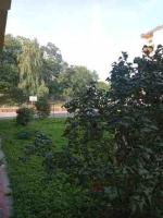 Apartament Centrum - Chambres d'hôtes Ostrowiec Świętokrzyski