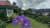 Villa harapan baru - Bed and Breakfast Berastagi