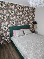 Koknese City Apartment - B&B Koknese