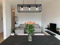 Deluxe One-Bedroom Apartment