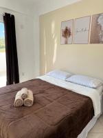 Appartamento con 1 Camera da Letto