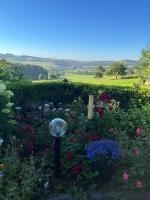 FeWo Anastasija - B&B Niederlauch