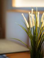 NAP Luxury Guest House Municipio - B&B Napoli