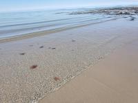 Snowdonia Holiday Sea Beach and Mountains view - B&B Llwyngwril