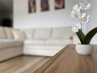 Go2Nati apartament - B&B