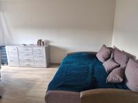 Penthouse apartment Baltupiai - B&B