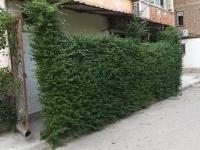 first floor ap for rent 1+1 - B&B