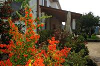 La Staccionata - B&B Arpino