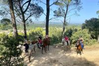 Mazet en Provence dans propriété équestre - B&B Graveson