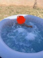 Mazet en Provence dans propriété équestre - B&B Graveson