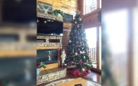 Smoky Mountain Mist - B&B