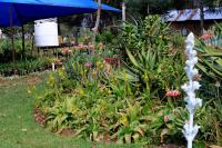 The Seed Pod Guesthouse - Bed and Breakfast Modimolle