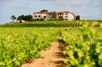 Château au milieu du vignoble avec piscine à 10 mn des plages - Bed and Breakfast Cabestany