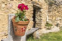 Cal Sastre - Ferienwohnung Biscarri