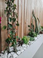 Casa Melro - B&B Faro