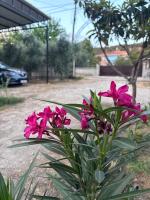 Three-Bedroom Apartment with Balcony